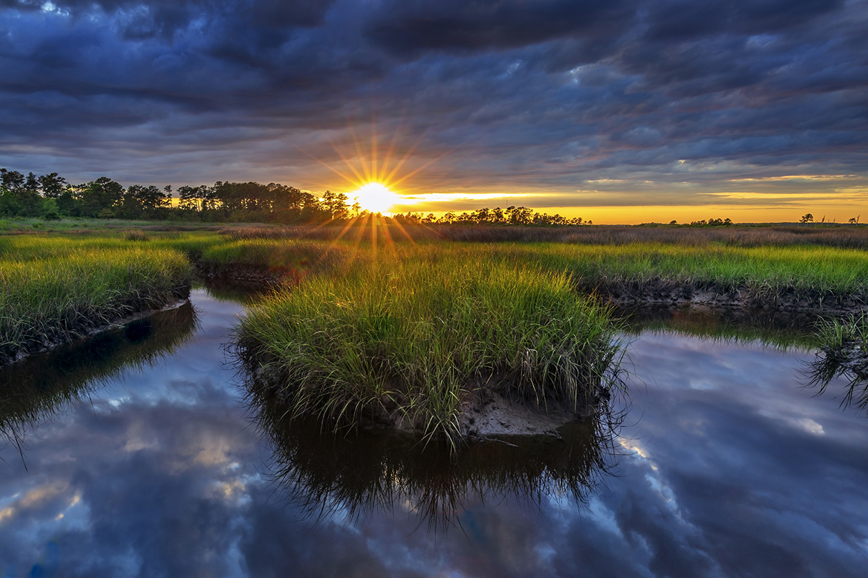 This is the biggest and boldest gift ever given to a university for a school dedicated to coastal and marine sciences. It is the largest gift in William &amp; Mary's 331-year history. (Photo by Wolf Vogelbein)