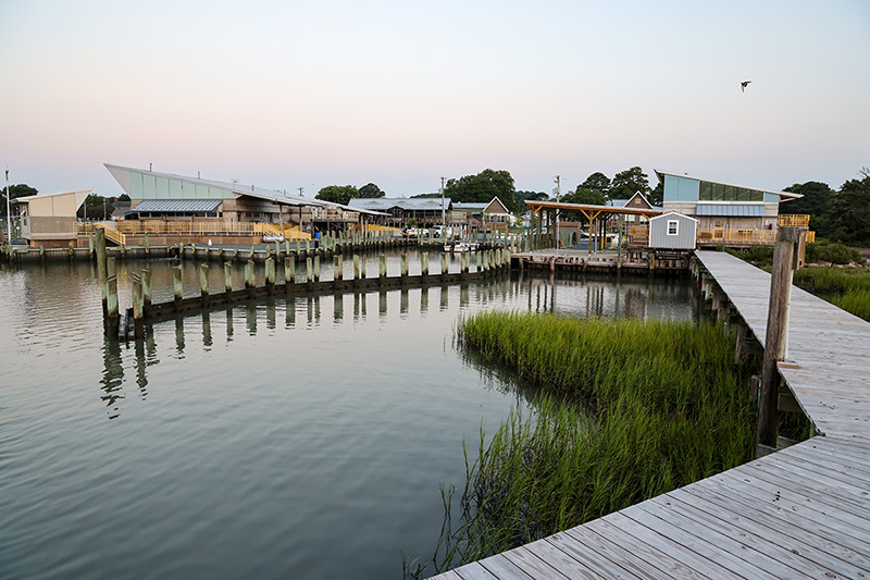 The VIMS ESL campus has grown significantly since it was first established to support expanded research and educational initiatives. Photo by John Wallace.