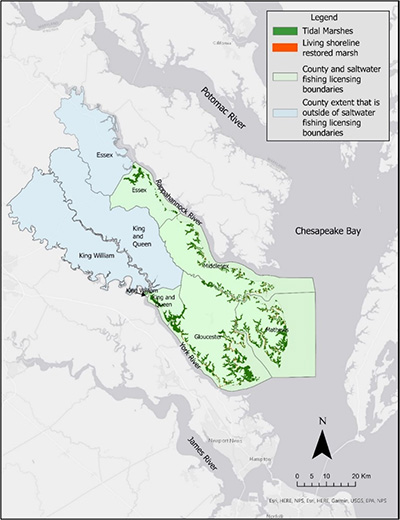 This figure outlines Virginia’s Middle Peninsula, showing tidal marsh and living shoreline areas as well as county and saltwater fishing license boundaries.