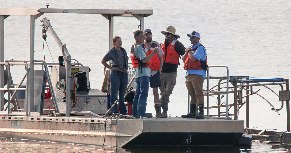 Bill Walton (second from left), coordinator of the Shellfish Aquaculture Program, works with colleagues conducting research at VIMS’s on-site oyster farm. Photo by John Wallace.