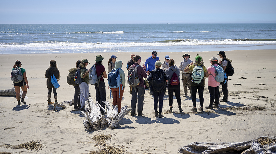 Once on Parramore Island’s beach, participants stopped to learn about the fauna that inhabit the marine ecosystem.