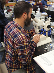 Peter Konstantinidis, an expert on larval fishes, identifies specimens during the workshop at VIMS.