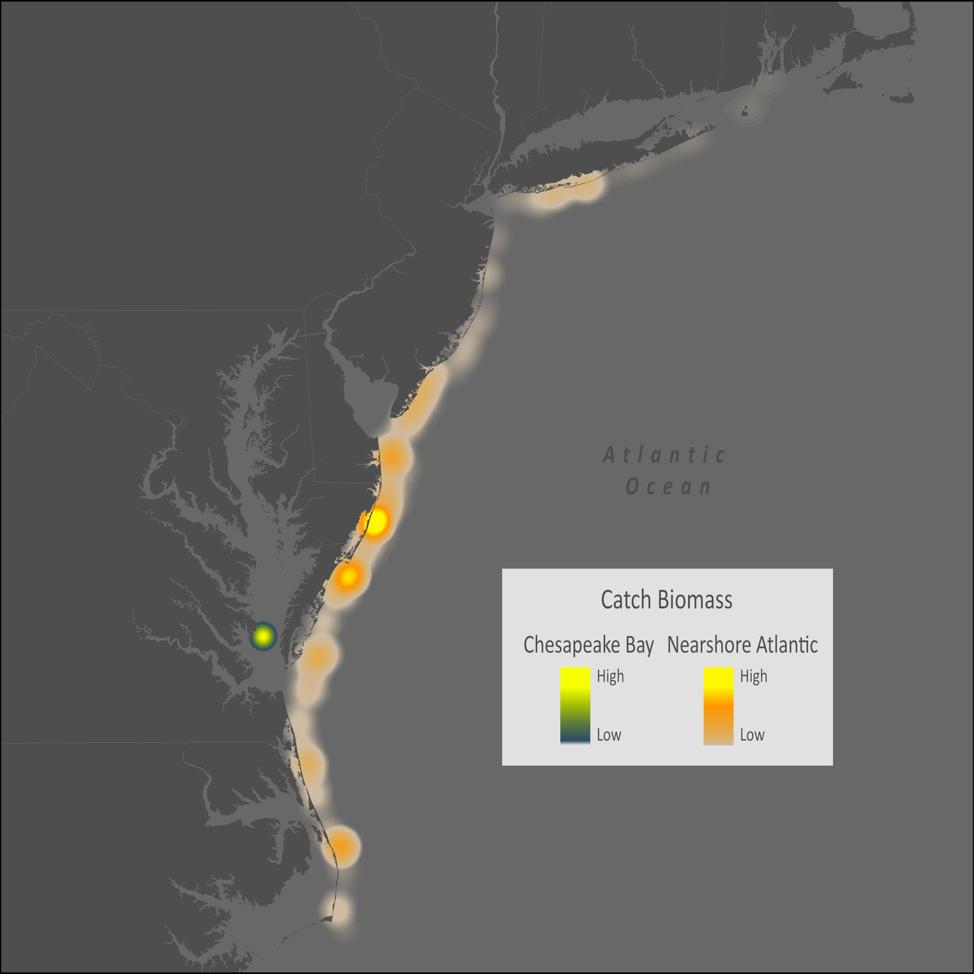 Northern Sennet