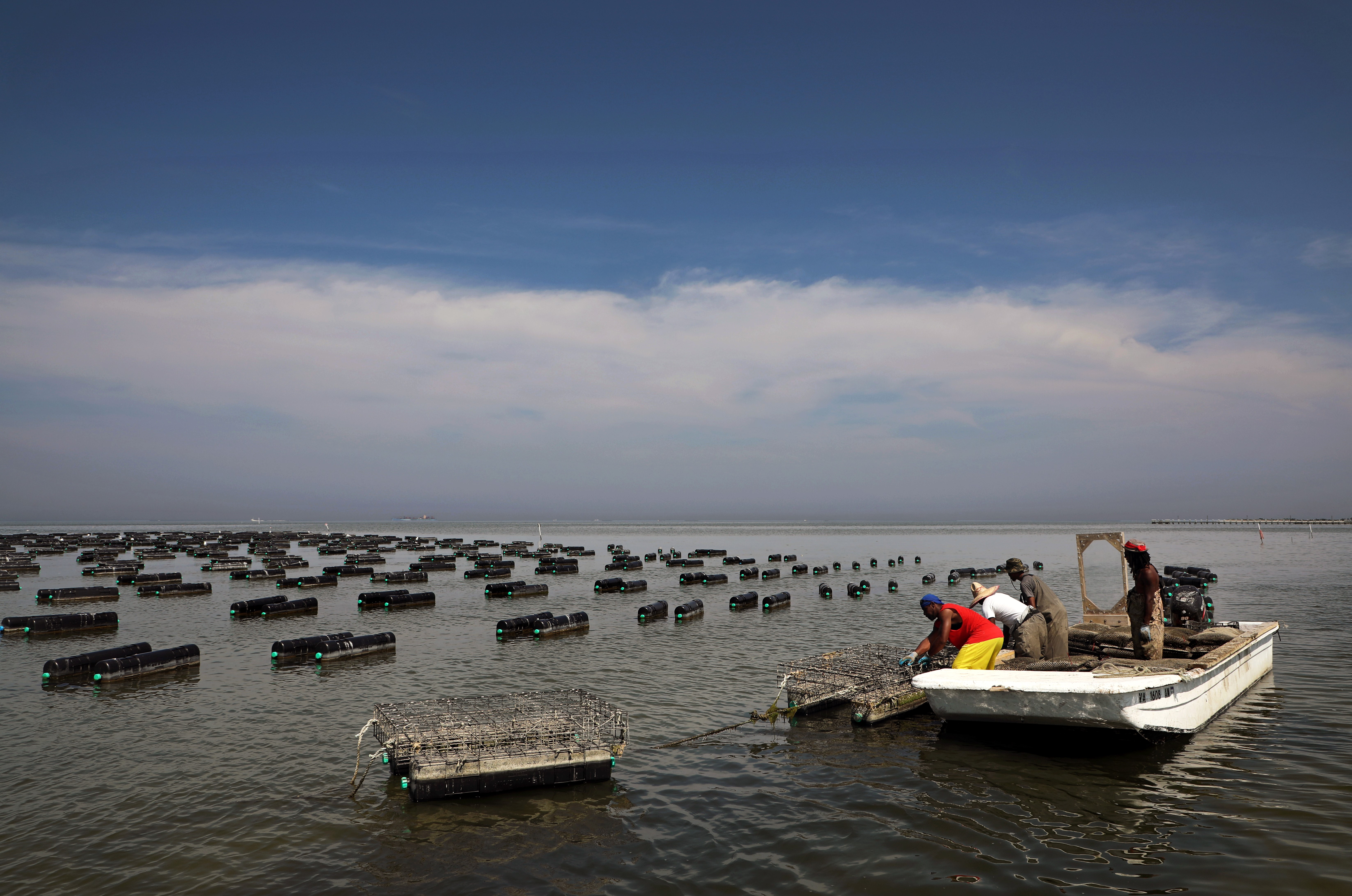 Shellfish farmers tend to floating aquaculture cages on Virginia's Eastern Shore. Photo by Aileen Devlin / Courtesy of Virginia Sea Grant.