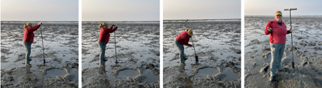 Kayla Cahoon mapping modern lagoonal sediments behind Cedar Island, Virginia. Photos credit. J. Griffin, September 2021.