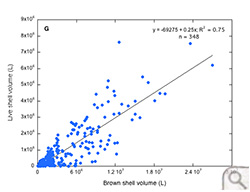 Brown shell volume (L) versus live shell volume (L) in the James River (region G).
