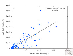 Brown shell volume (L) versus live shell volume (L) in the Piankatank River (region D).