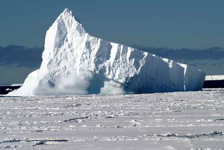 Iceburg