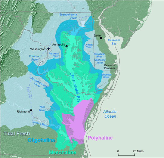 salinity_zones_w_fall_line2.jpg